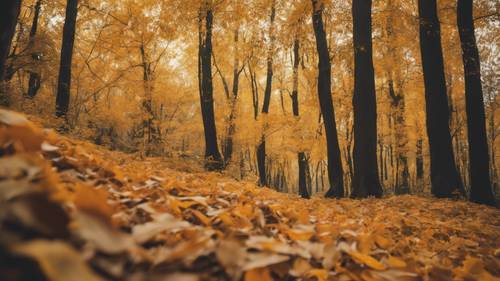 Autumn-themed aesthetic quotes seen in the forest covered with yellow-orange foliage.