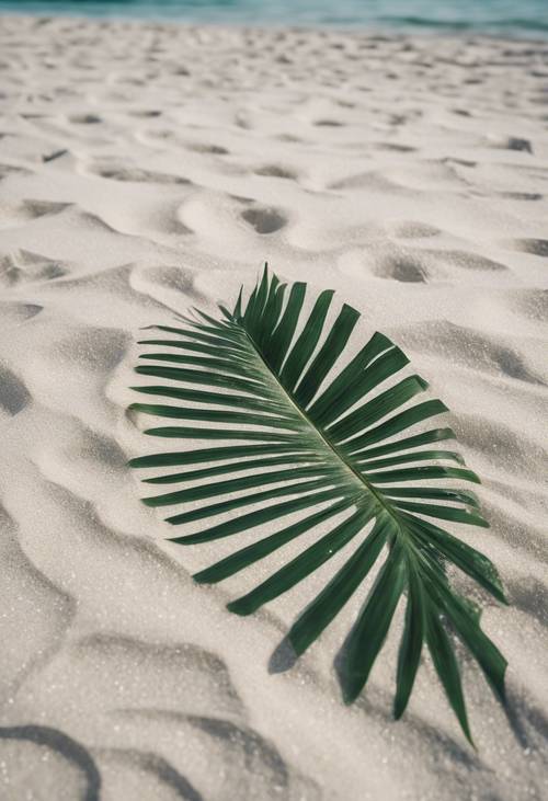 Ein tropisches Palmenblatt, das sich teilweise im unberührten weißen Sand vergräbt.