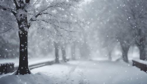Uma violenta tempestade de neve obscurecendo a visibilidade, o mundo aparecendo em tons de branco.