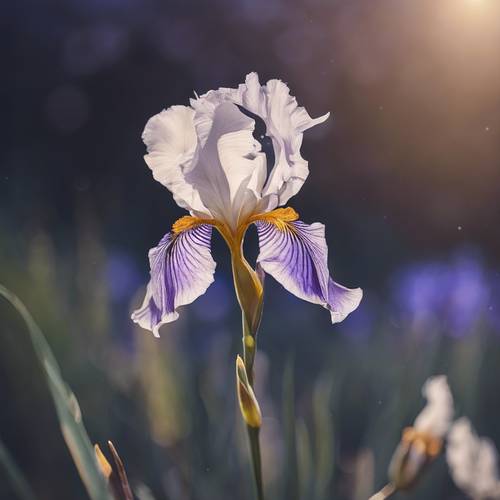 Un iris resplandeciente bajo la suave luz de la luna llena, con un aspecto misterioso y etéreo.
