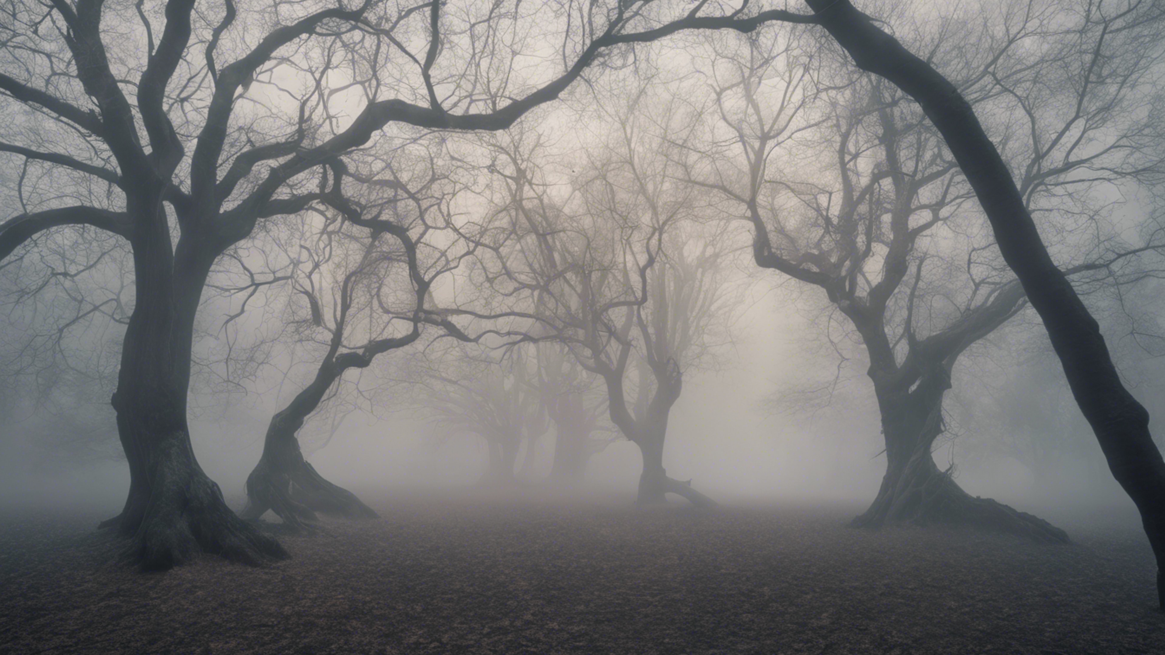 A low contrast image of leafless trees in fog, evoking a sense of calm and peacefulness Ταπετσαρία[0f02ab927dde42ddb552]