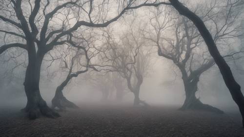 Gambar kontras rendah pepohonan tak berdaun di tengah kabut, membangkitkan rasa tenang dan damai