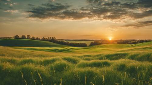 Yalnız bir çayır boyunca yeşil çizgiler oluşturan altın rengi bir gün batımı.