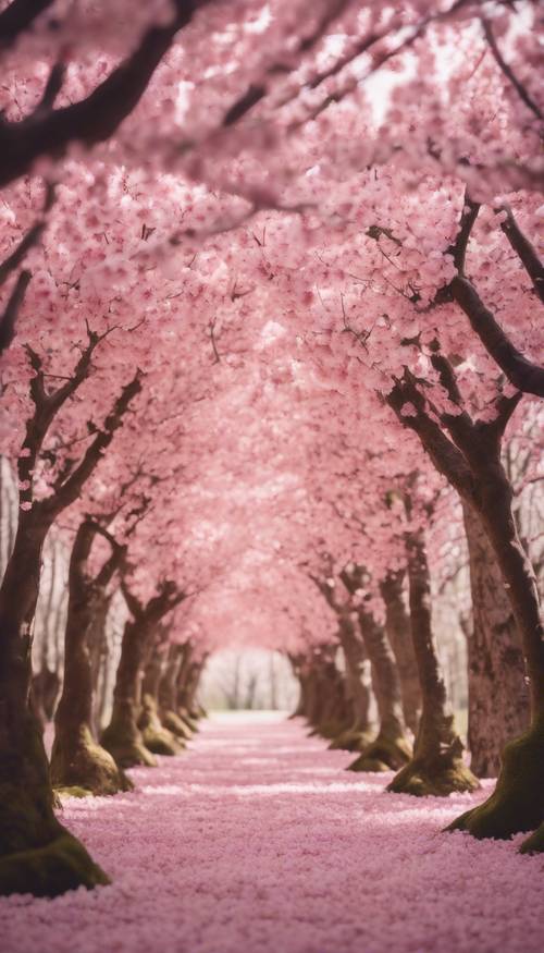 Hutan dalam ruangan pohon sakura dengan kelopak sakura merah muda berjatuhan