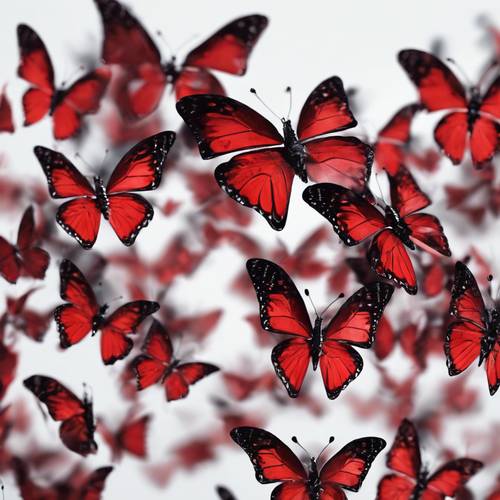 Ein surreales Bild eines Herzens aus flatternden roten und schwarzen Schmetterlingen.