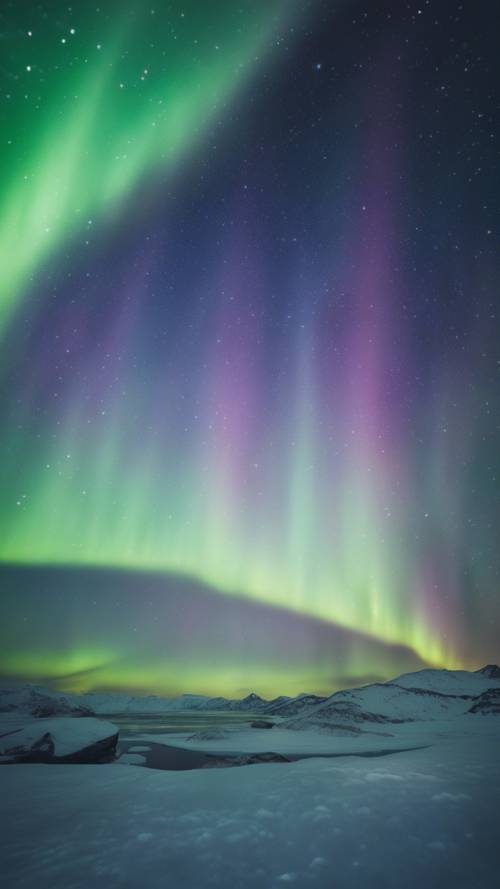 The northern lights forming a diamond shape in an Inuit legend. Tapet [71c772f1710b4c0ea71c]