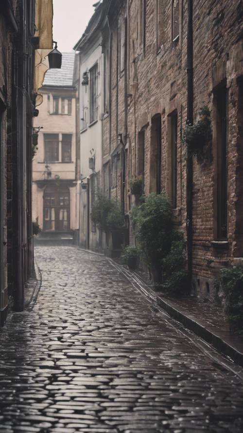 A gray brick street in an old European town as it rains lightly.