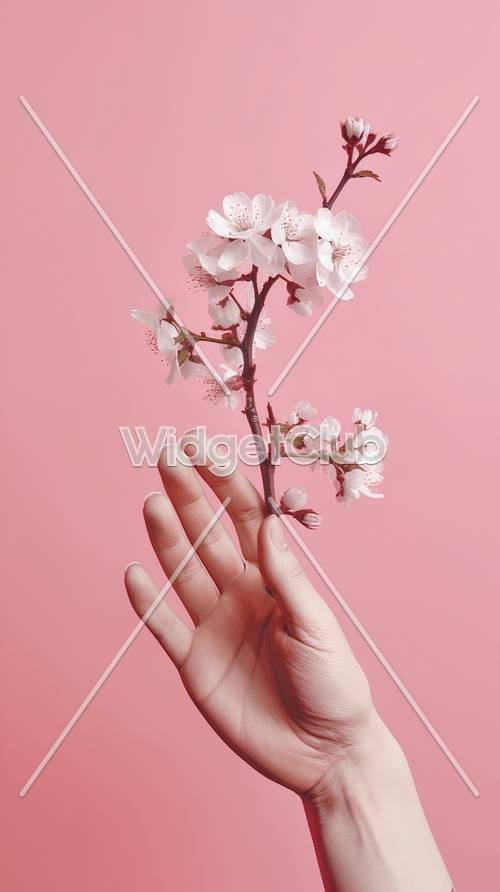 手に持つ桜の壁紙：シンプルでエレガント
