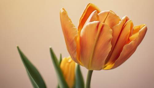 Représentation d’une tulipe orange en fleurs sur fond jaune.