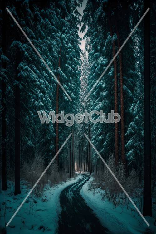 Kış Ormanı Yolu Sahnesi