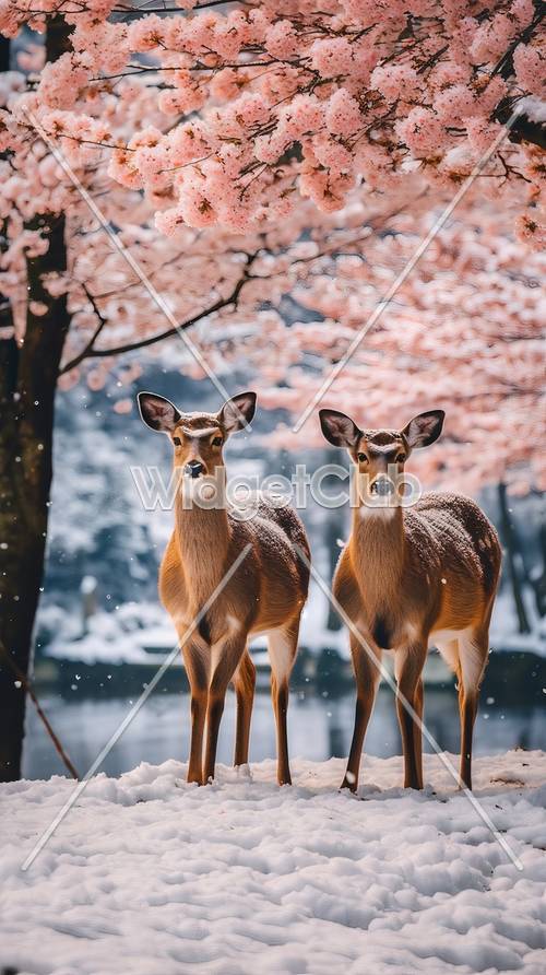 Deer Under Cherry Blossoms in Snow