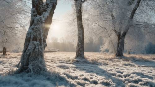 A slow, panoramic view of a frosty plain glimmering under the winter sun