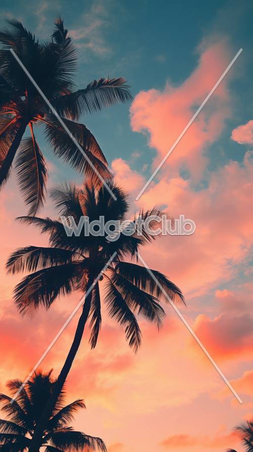 Palmiye Ağaçları ile Tropikal Gün Batımı