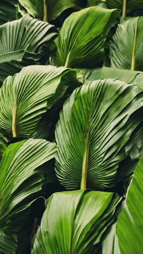 Bunches of banana leaves sold in a lively Asian farmers' market.