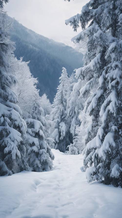 Inverno cênico Montanhas Azuis cobertas de neve branca intocada e imaculada.