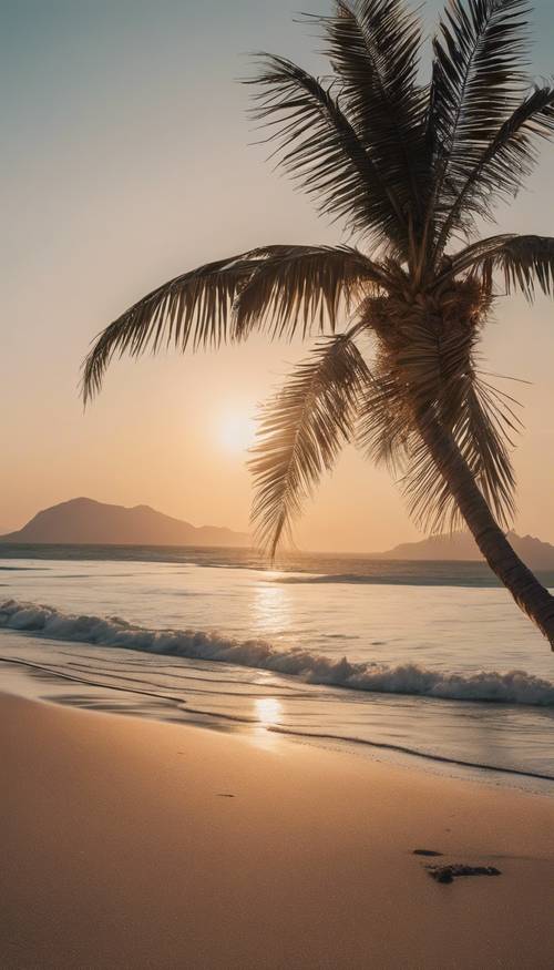 夕焼けのビーチにひときわ立つ高いヤシの木の壁紙 - 太陽の光を受けた風景