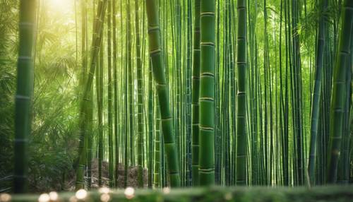 Hutan bambu yang tenang dengan sinar matahari menembus dedaunan hijau yang cerah.
