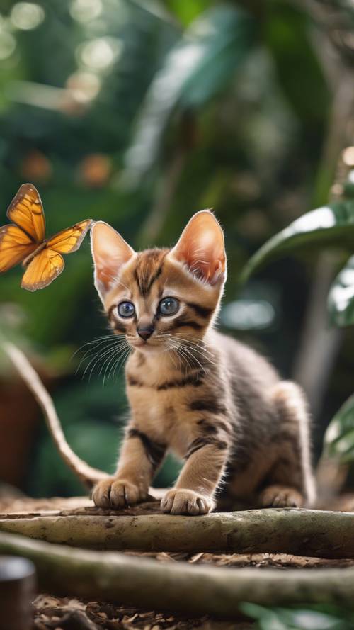 Un gatito Chausie con manchas de sombra, interactuando juguetonamente con vibrantes y exóticas mariposas en un jardín botánico tropical.