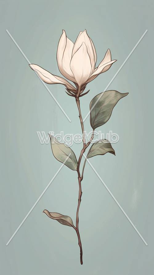 Fleur de magnolia élégante sur fond bleu doux