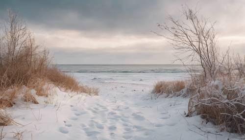 Opuszczona plaża zimą, pokryta świeżą warstwą śniegu.