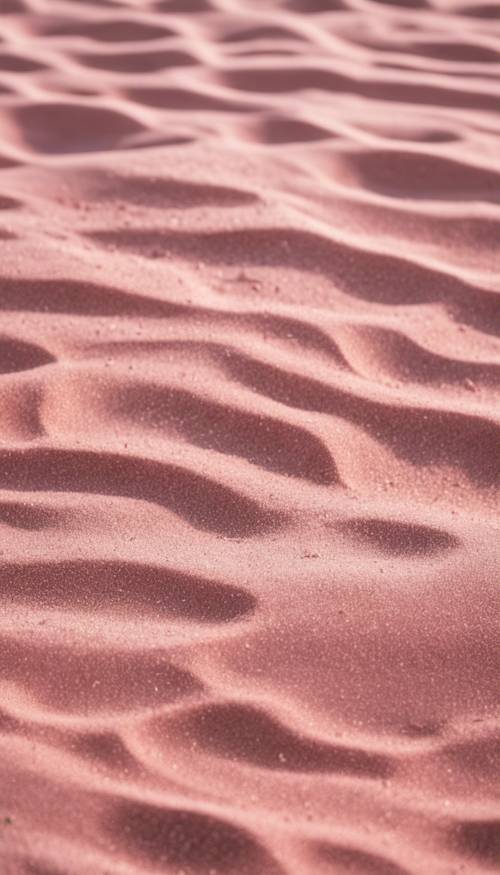 화창한 날 분홍색 모래 해변의 상세한 질감.