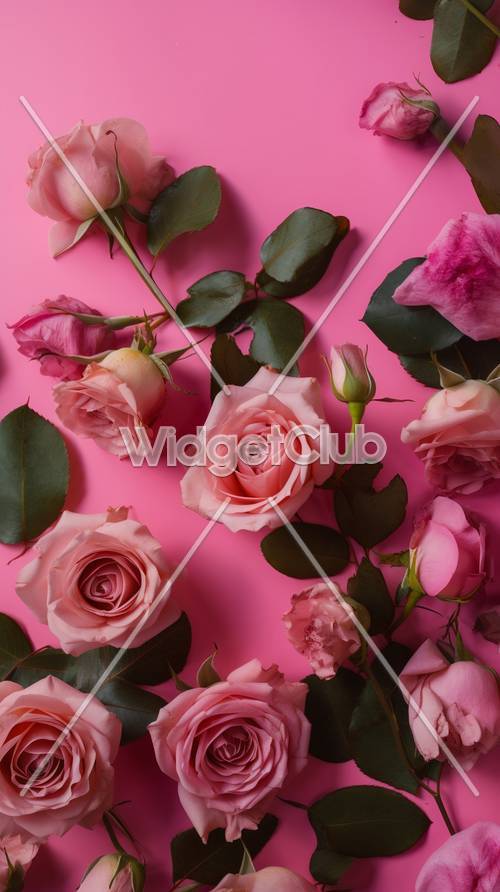 Hoa hồng màu hồng xinh xắn trên nền màu pastel