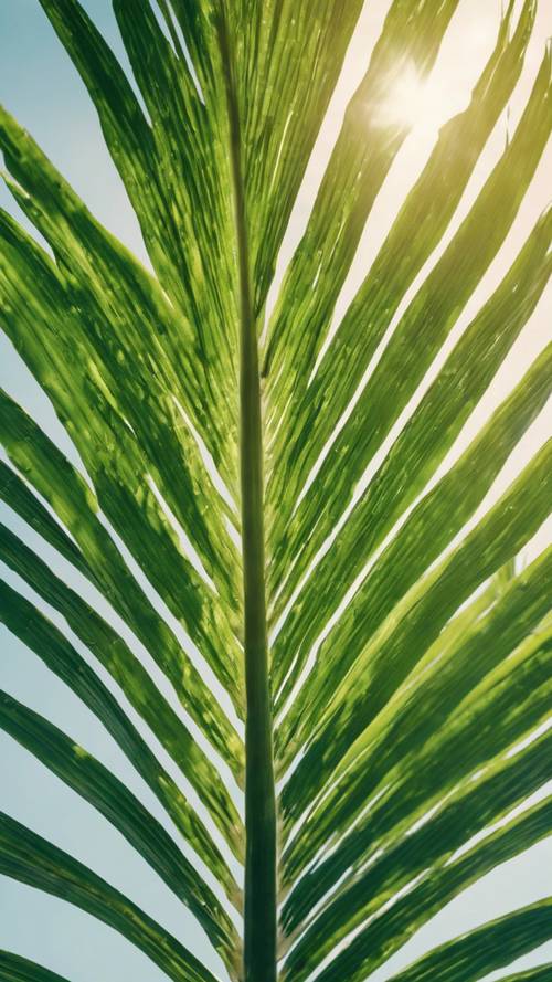 A single, large, vibrant green palm leaf under the bright midday sun.