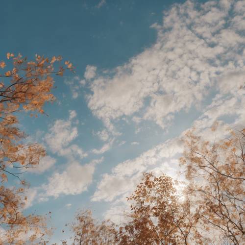 Delikatne, wysoko położone chmury cirrus tworzące skomplikowane wzory na wyraźnym, czystym jesiennym niebie.