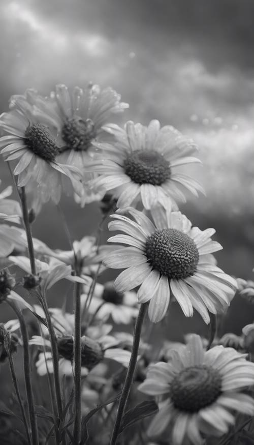 Animated charcoal gray daisies dancing wildly under the windy, cloudy sky.