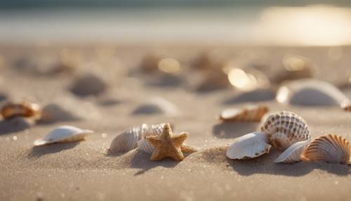 Altın rengi deniz kabuklarıyla hafifçe lekelenmiş bej kumu gösteren huzurlu bir plaj manzarası.