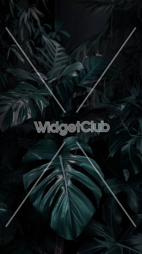 Dark Tropical Leaves for Your Screen