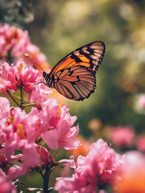 一隻橙色蝴蝶降落在春天花園裡盛開的杜鵑花上。