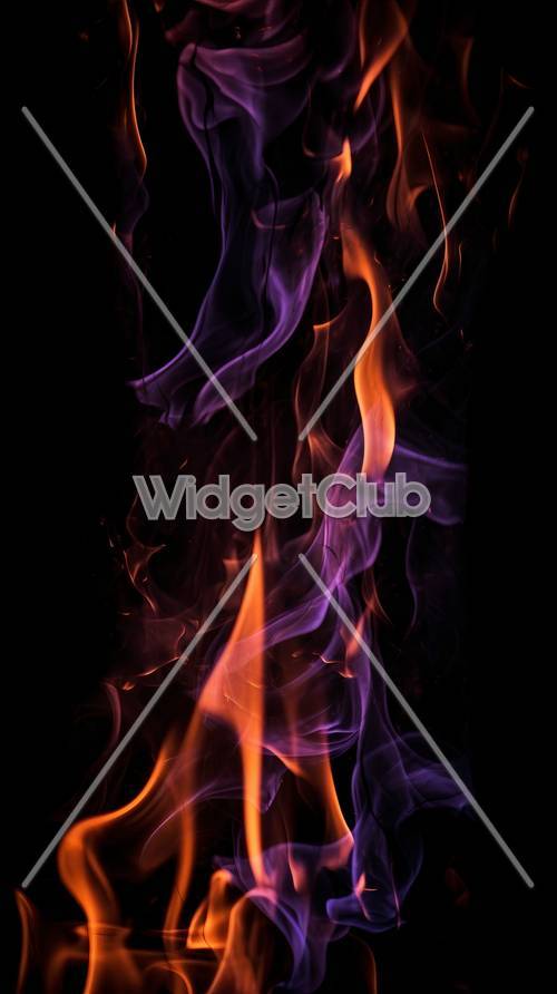 Colorful Flames Dance on Black Background