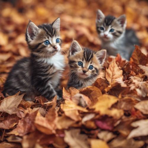 Несколько котят озорно играют в куче хрустящих осенних листьев, их шерсть сливается с яркими цветами.