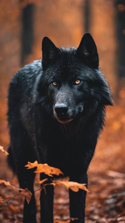 منظر ساحر لذئب أسود شرس في غابة خريفية، عيونه متوهجة في الظلام.