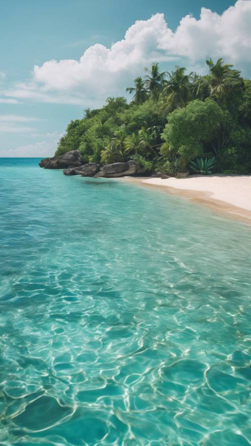 Tropikal bir plajın gür yeşillikleriyle buluşan turkuaz mavisi okyanusun öğle vakti manzarası.
