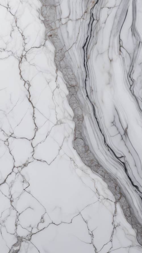 Gros plan de veines traversant un morceau de marbre blanc lisse et poli