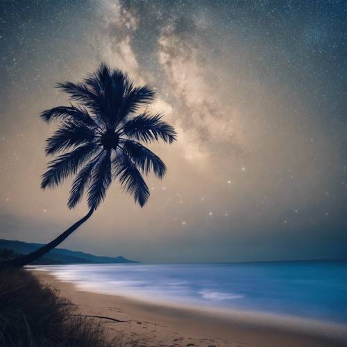 شجرة نخيل زرقاء تتمايل بلطف تحت سماء الليل المرصعة بالنجوم على الشاطئ.
