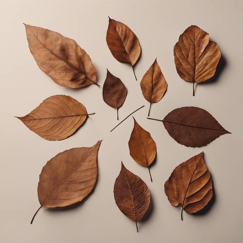 Minimalistyczna kompozycja brązowych jesiennych liści ułożonych w geometryczny kształt na jasnym tle.