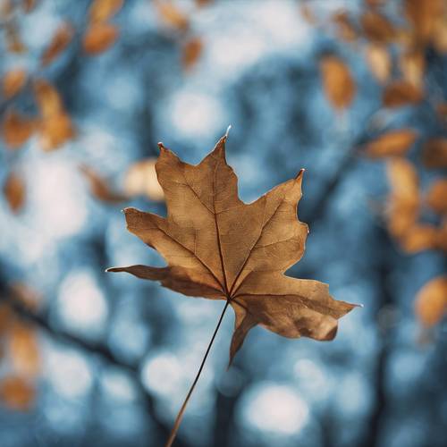 Tańczący niebieski liść igrający na wschodzącym jesiennym wietrze.