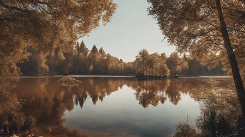 一片宁静的心形棕色湖泊，周围环绕着参天大树。