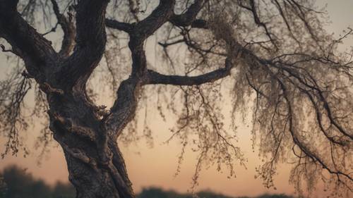 Un árbol viejo y desgastado durante el crepúsculo con la frase &#39;La depresión es como ahogarse, excepto que puedes ver a todos a tu alrededor respirando&#39; enroscada en sus ramas.