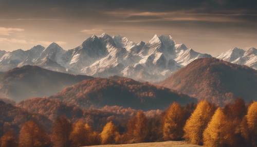 View of a large mountain range during autumn portraying an enchanting blend of brown shades. Wallpaper [7209d2c8ee6f4150ad39]