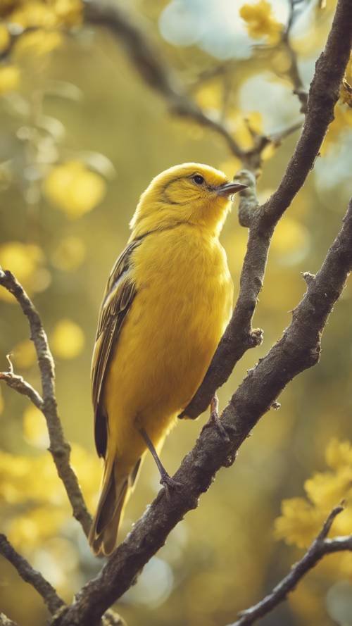 Seekor burung kuning kecil bersandar di dahan pohon di pagi musim semi.