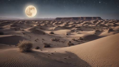 Uma cena calma de um deserto iluminado pela lua com formações, e a citação &#39;Não há caminho para a paz. A paz é o caminho.&#39; gravada ao luar.