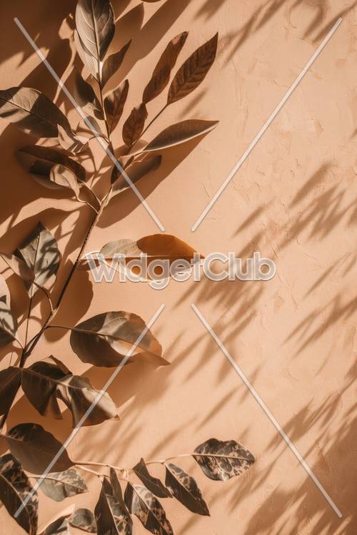 Ombres de feuilles ensoleillées sur un mur de pêche