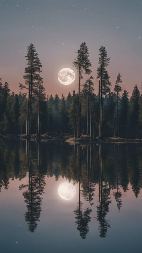 A tranquil scene of a bright full moon reflecting on a calm lake surrounded by pine trees.