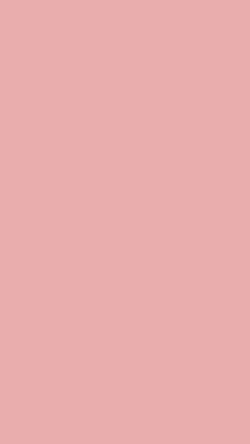 Soft Pink Color Palette Tapeta [a3ca5e03436e44e39862]