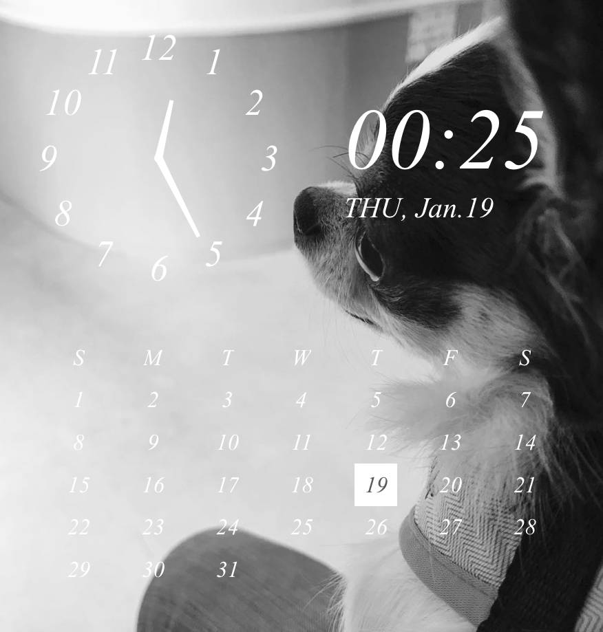 パン Reloj Ideas de widgets[HxWL6040R6VEPziQlaJW]