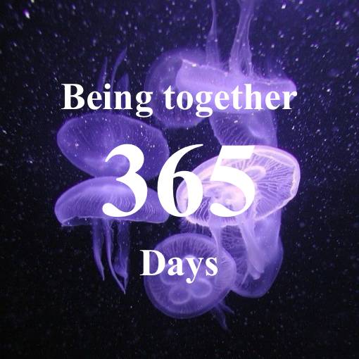 Cool Anniversary Widget ideas[1Fa9PbgRlAOMMK2p3KWR]
